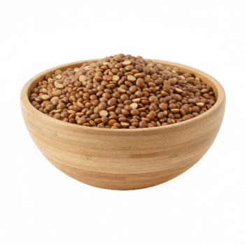 BHURI MASOOR DAL (Brown Lentils)