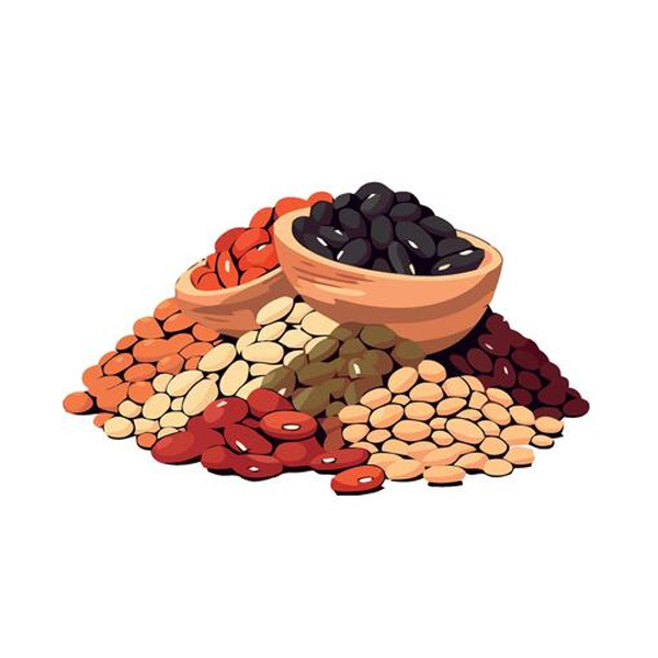 Seeds
