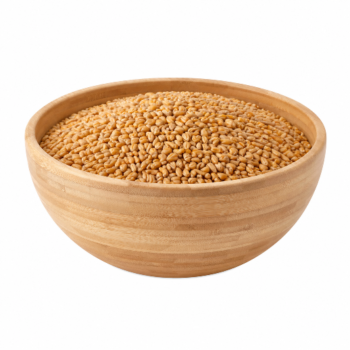 GENHU (Wheat)