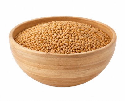GENHU (Wheat)